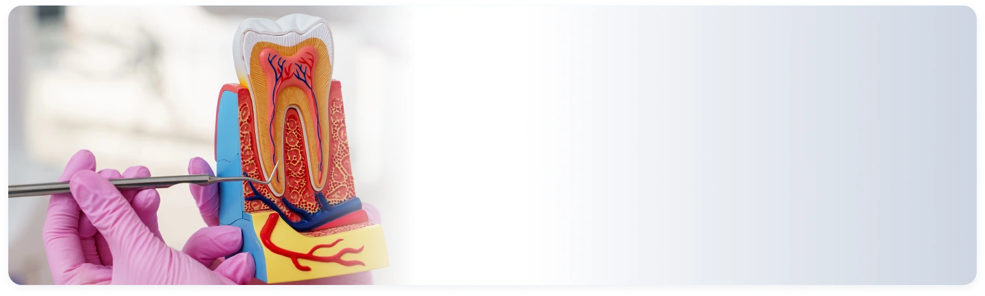 Layanan {{ result?.title }} Passion Dental Care